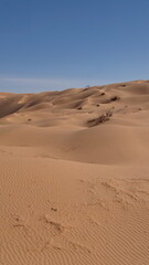 Rolling sand dunes in the Sahara Desert, outside of Douz, Tunisia