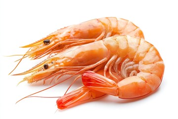 Two fresh shrimp on a clean white background, showcasing their vibrant color and texture