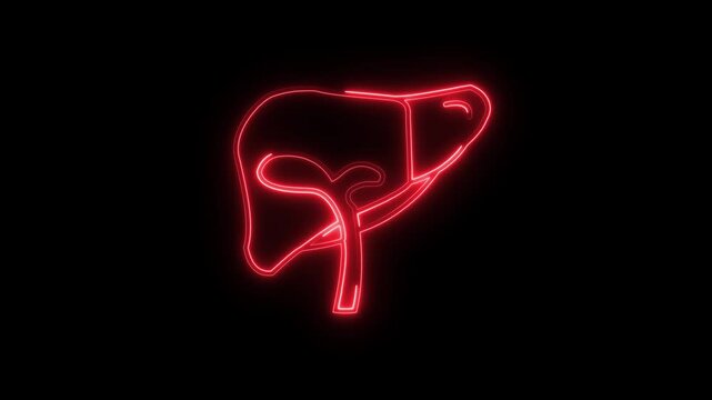 Glowing neon Liver icon isolated on black background. HD Video motion graphic animation