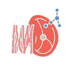 muscle tissue black line icon.