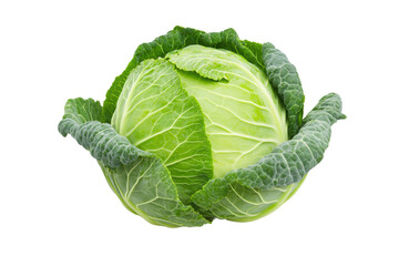 Fototapeta premium Fresh green cabbage with crisp leaves and texture, cut out