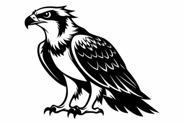 osprey bird silhouette