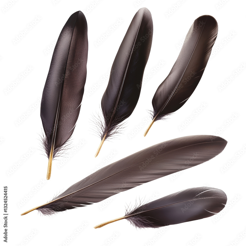 Poster three delicate feathers of varying colors and textures arranged artistically against a soft backgrou