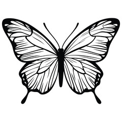 butterfly coloring page design