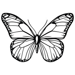 butterfly coloring page design