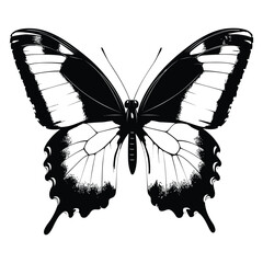 butterfly coloring page design