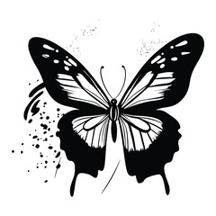 butterfly coloring page design