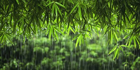 Fototapeta premium Green Leaves Hanging from Tree