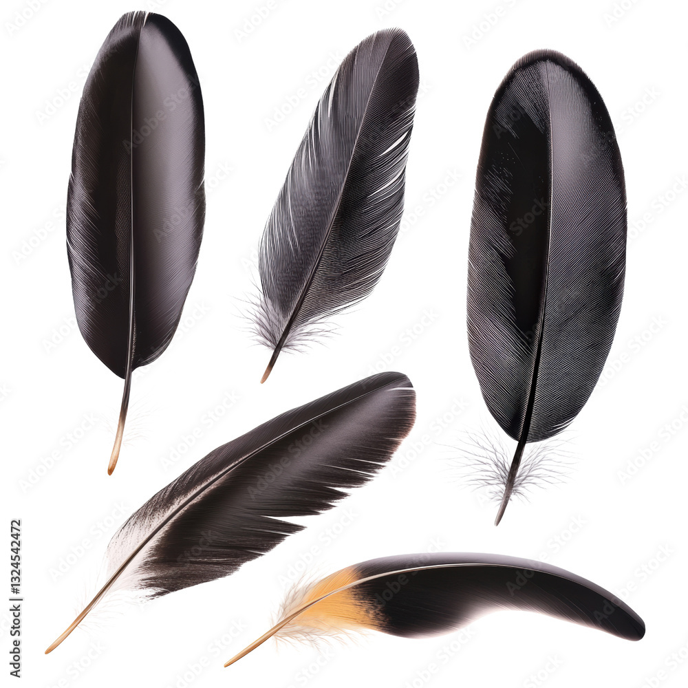 Aufkleber three delicate feathers in soft natural light with varying textures and dimensions against a neutral