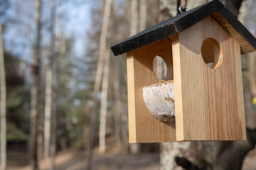 Explore the beauty and function of a rustic wooden birdhouse set against a serene forest backdrop, offering a glimpse into nature's wonderful simplicity and bird habitat