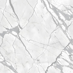Obraz premium White Marble Texture with Dark Grey Veins