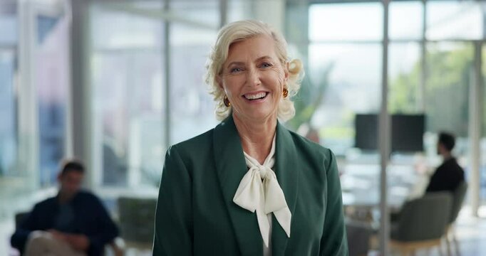 Face, mature manager and business woman, chief investment officer and expert at hedge fund. CEO, portrait and financial executive, company director and happy professional entrepreneur with experience