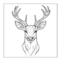 Fototapeta premium deer head coloring page design