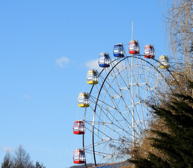 Ferries wheel in the park with red, yellow, blue cabins