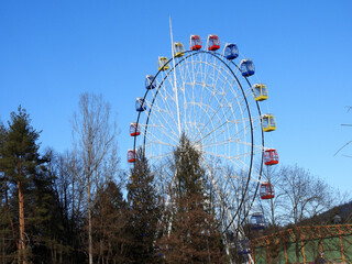 Ferries wheel in the park with red, yellow, blue cabins