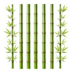 Isolated bamboo stalks with green leaves, showcasing tropical plant versatility