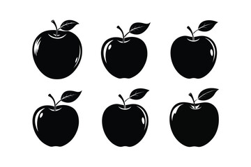 Apple – Malus domestica fruits vector illustration