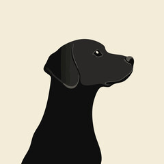 Schwarzer Hund im Profil mit neutralem Hintergrund