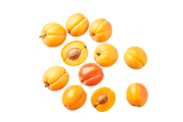 a set of orange slices on white background
