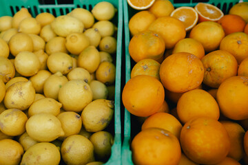 Close up of citrus on the local Farmers market. Shopping At Farmers Market Stall. Part of the series.