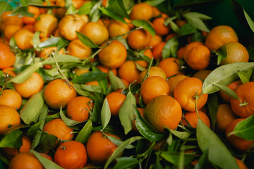 Close up of citrus on the local Farmers market. Shopping At Farmers Market Stall. Part of the...
