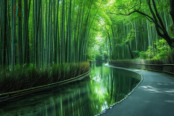 Fototapeta premium Lush green bamboo forest with a serene waterway and misty atmosphere under soft light during early morning hours