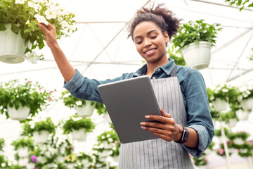 Farmer at work in modern greenhouse. Smiling african american girl checking flowers and looking at...