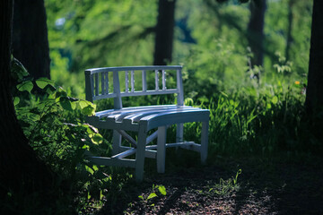 White bench in the park
