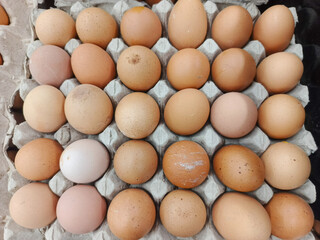 Close-up of chicken eggs in a cardboard carton. Fresh eggs ready for sale