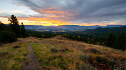 Golden Sunset Over Expansive Valley Landscape with Trees and Dramatic Cloudy Sky