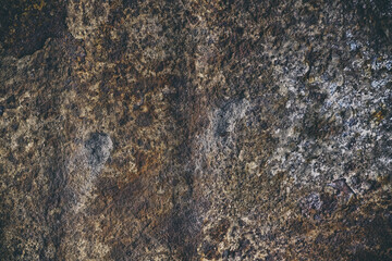 rysty metal barrel brown texture