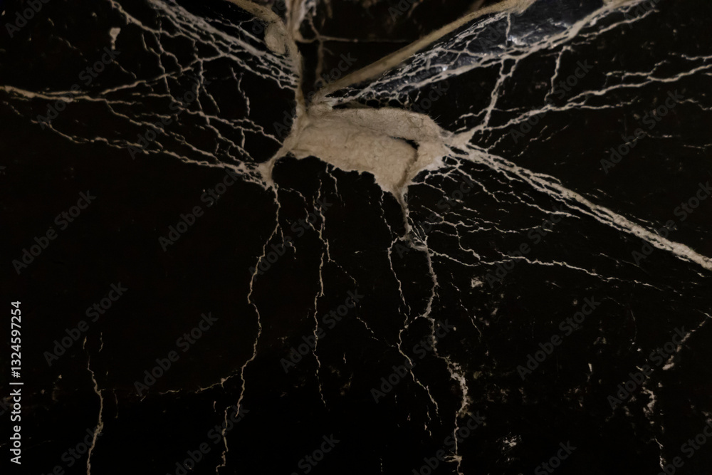 Poster close-up of a textured black surface with intricate white veining and a rough patch, creating an abs