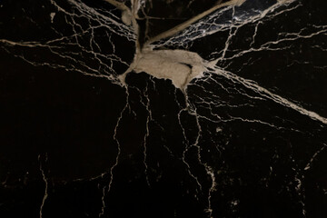 Close-up of a textured black surface with intricate white veining and a rough patch, creating an abstract and elegant appearance