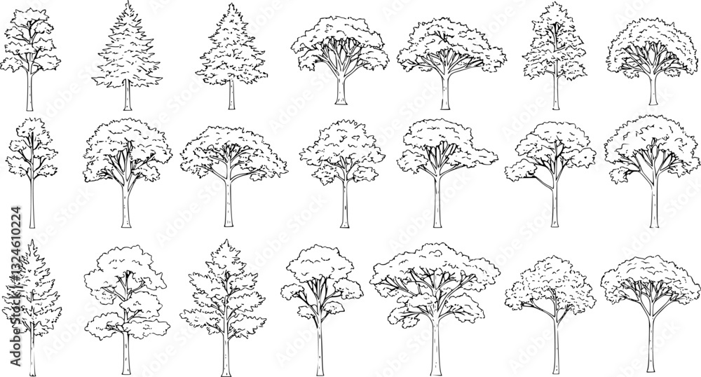Poster set of coniferous and deciduous trees for architecture and landscape design, line drawing, contour. 