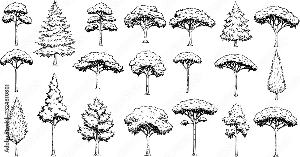 Poster set of coniferous and deciduous trees for architecture and landscape design, line drawing, contour. 
