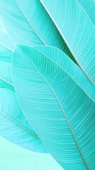 Obraz premium Teal banana leaves close-up, vibrant color, natural background