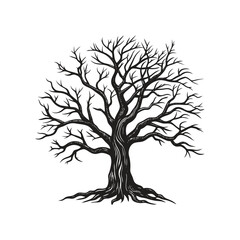 Black trees without leaves.