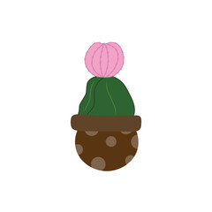 Moon cactus design with pink head in brown dotted pot isolated on white background. Hand drawn vector illustration in flat style. Gymnocalycium Mihanovichii houseplant design, bloom