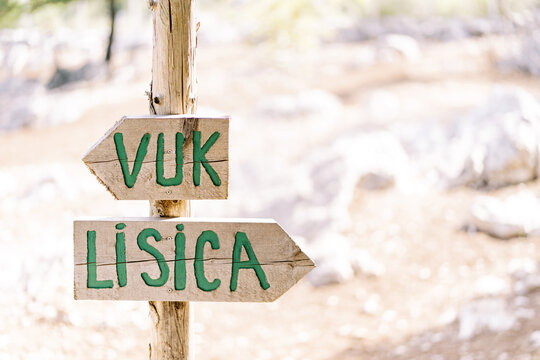 Wooden signs with pointers on a pole in the park. Caption: Vuk, Lisica