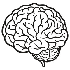 Line art illustration of a human brain