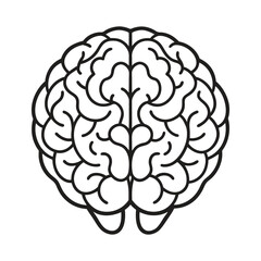 Line art illustration of a human brain
