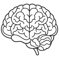Line art illustration of a human brain