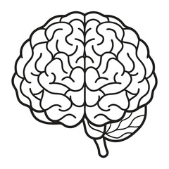 Line art illustration of a human brain