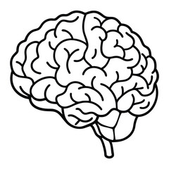 Line art illustration of a human brain