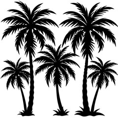 Fototapeta premium Palm Trees Silhouette of several palm trees in a tropical 