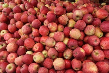 fresh red apples in the market