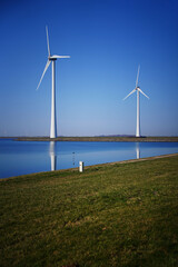 Fototapeta premium zeeland (NL) # windmills