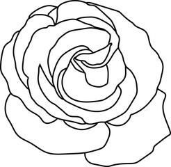 Rose Line Art Vector, Rose Outline