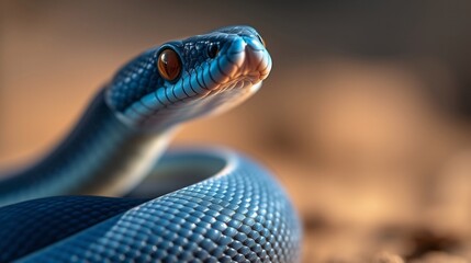 Fototapeta premium Close-Up of a Vibrant Blue Snake with Striking Eyes in Natural Habitat