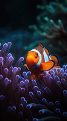 A Vibrant Orange Clownfish Swimming in a Coral Reef